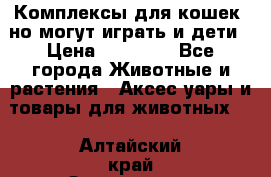 Комплексы для кошек, но могут играть и дети › Цена ­ 11 900 - Все города Животные и растения » Аксесcуары и товары для животных   . Алтайский край,Змеиногорск г.